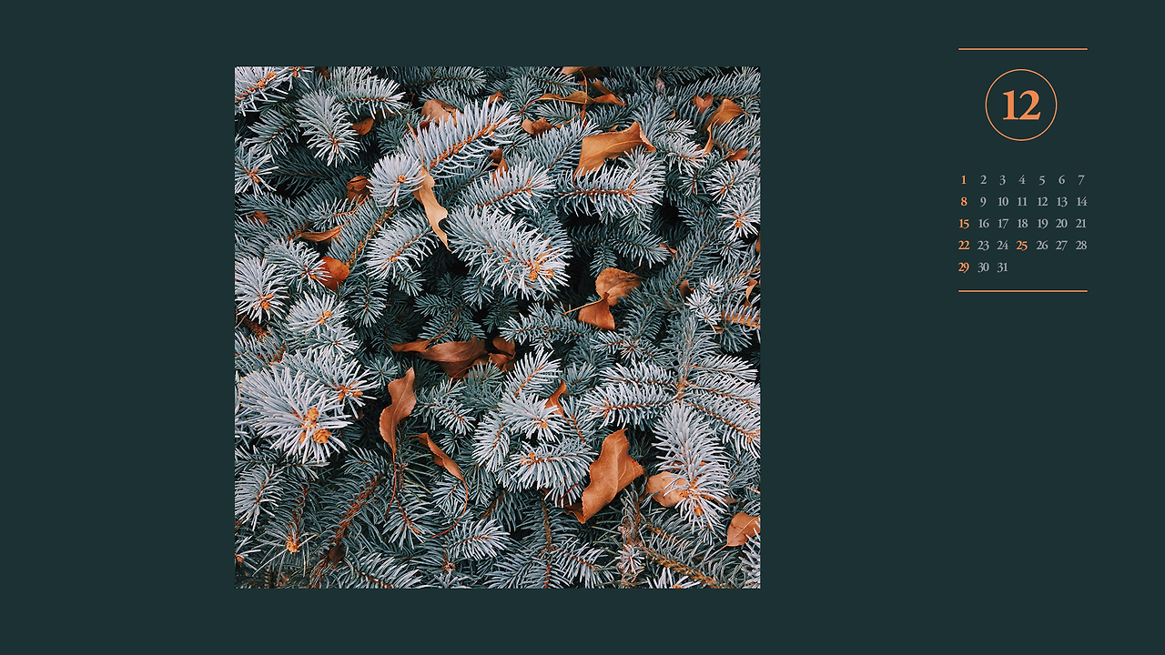 12월 달력 배경화면과 달력 다운로드 꿀 팁