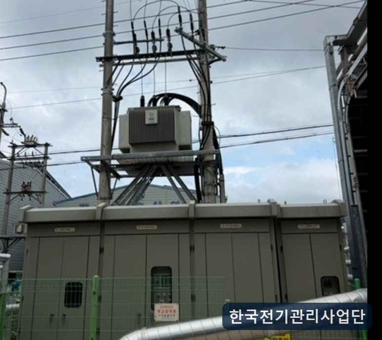 사진 2