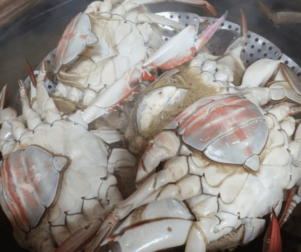 꽃게 찌는 법(방법) 알아보기