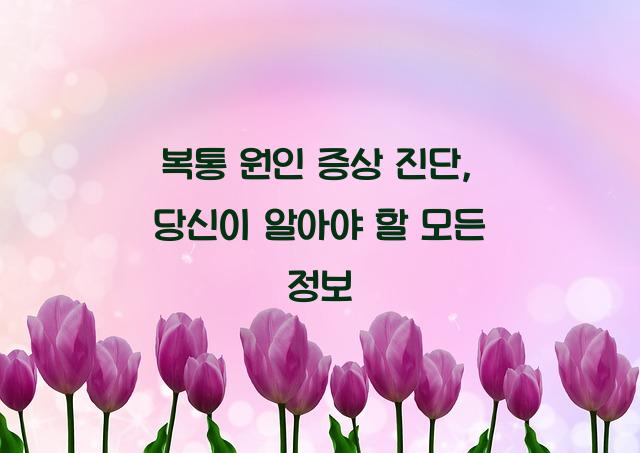 복통 원인 증상 진단