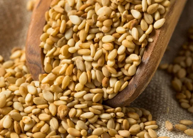 참깨 파종시기 재배방법 남부 중부_8