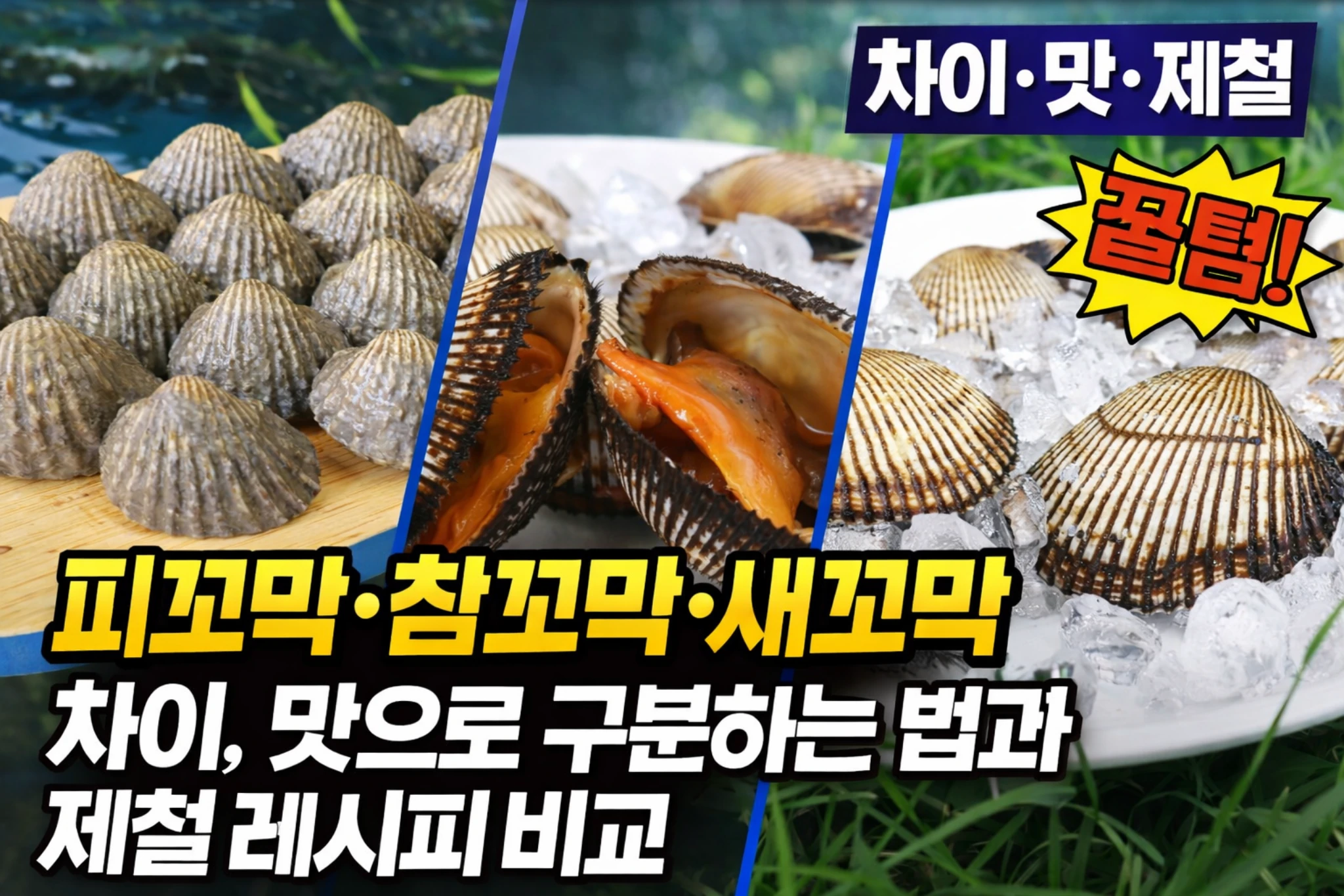 피꼬막·참꼬막·새꼬막 차이, 맛으로 구분하는 법과 제철 레시피 비교