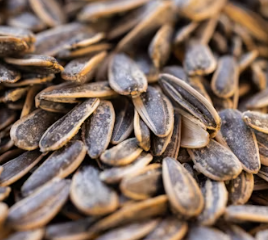 고혈압에 좋은 음식 영양제 식단