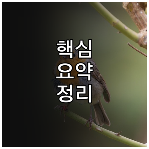 2025 관악구 자전거보험 몰랐다면 ..