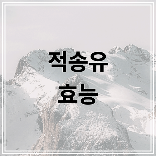 적송유 효능