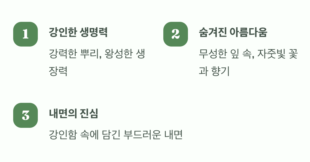 거친 생명력 속 숨겨진 보물