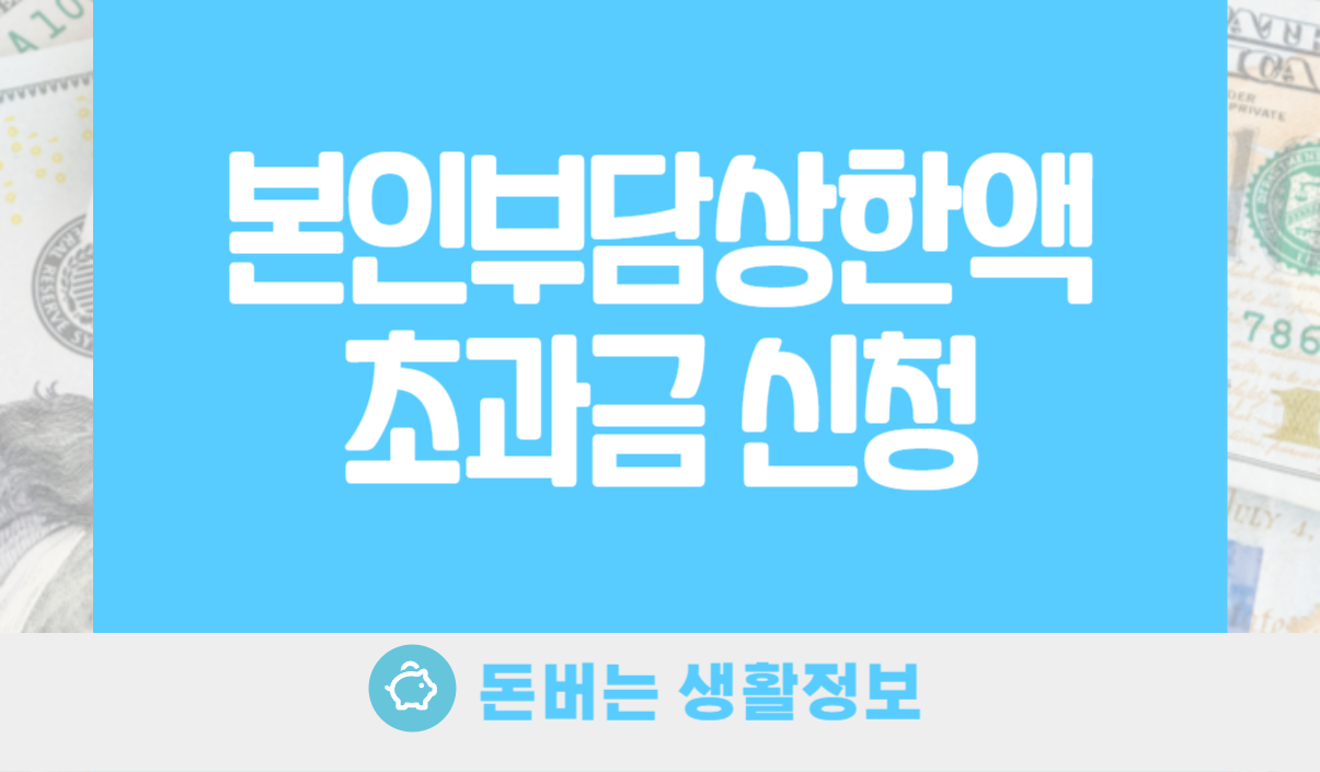 본인부담상한액 초과금 신청
