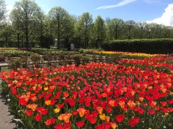 5월 가봐야할 전국 축제 10선 가족 연인 최고 명소_20