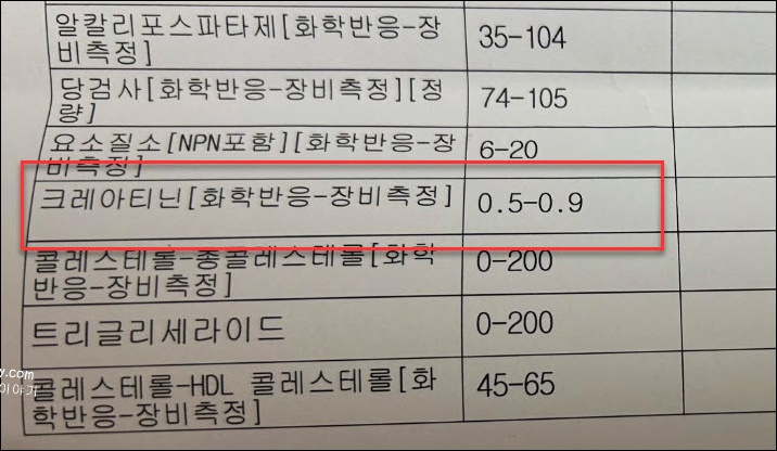 크레아티닌 건강검진