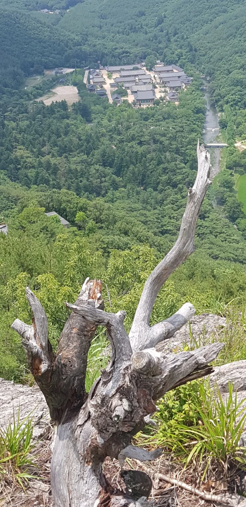 청도 복호산 운문사