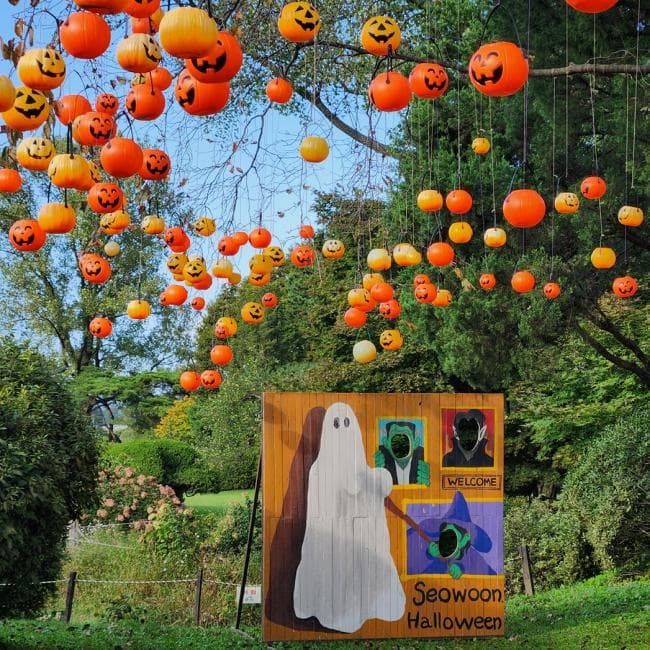 [아이 동반, 서울 근교 여행지]경기도 포천 서운동산｜딸기, 블루베리, 옥수수, 먹이주기, 밤줍기 등 체험 가득한 가족 여행지