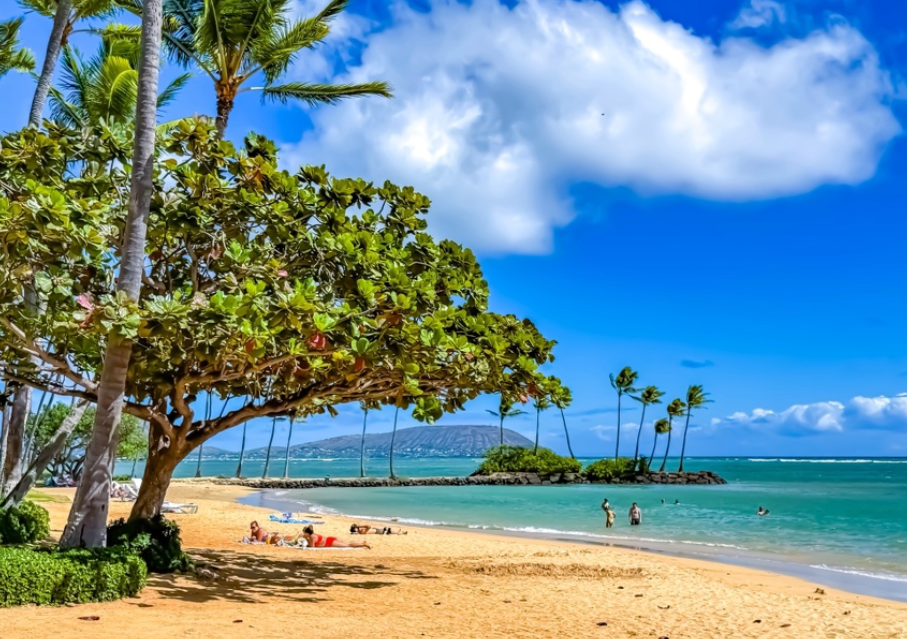 하와이 오아후 자유여행 추천 코스 + 장단점 & 유의사항🌺
