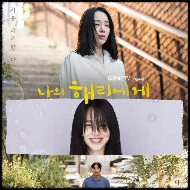 나의 해리에게 종영 - 진정성과 공감으로 가득한 캐릭터 이야기와 시청자 반응