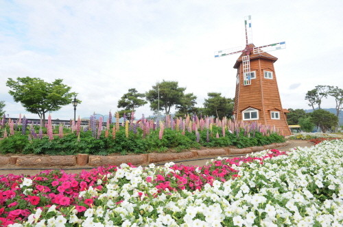 곡성 세계장미축제