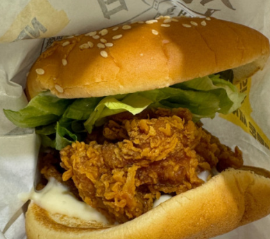 국내 치킨브랜드 인기 추천 BEST 10곳