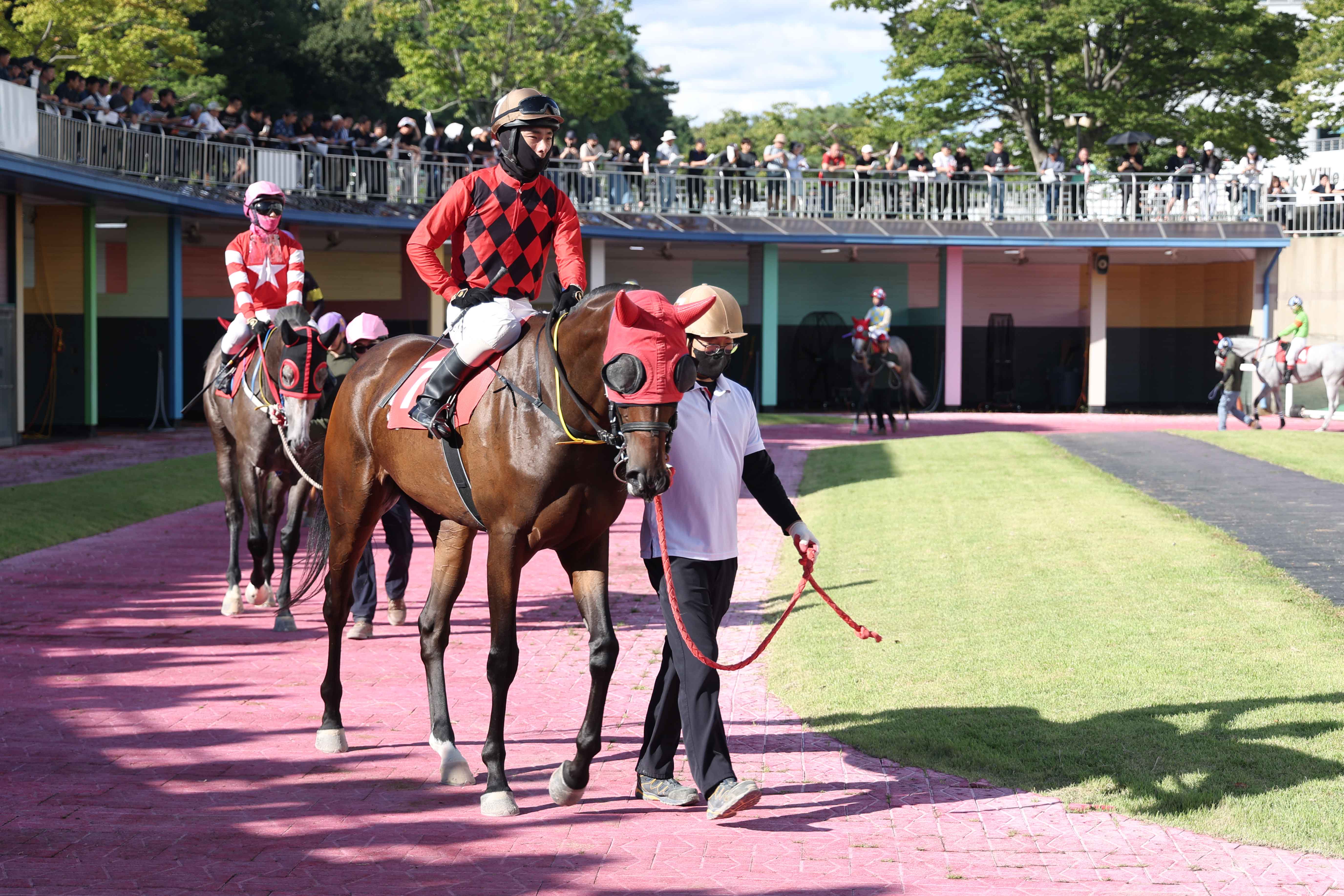 예시장 보령라이트퀸과 정도윤 기수