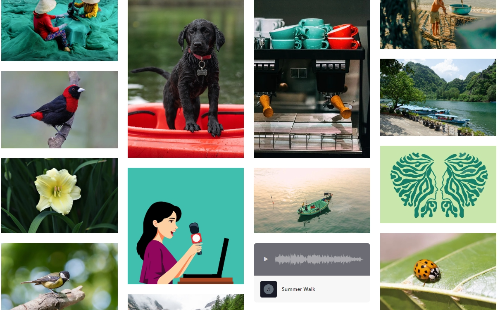 무료-이미지-사이트-픽사베이