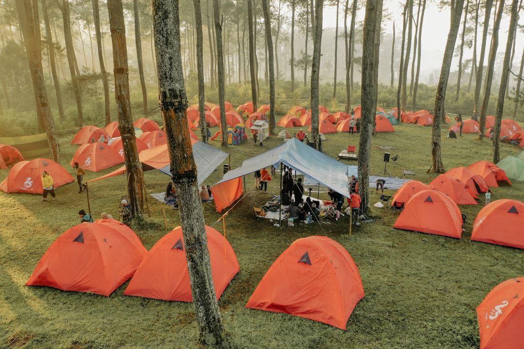 '캠핑장' (campsite)