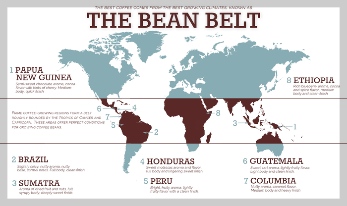 coffee-belt