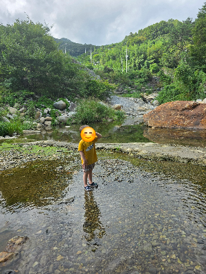 지리산의 자연을 배우는 곳, 하동 지리산생태과학관 추천