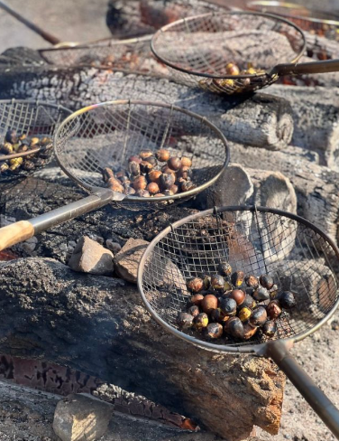 1월 충청남도 가볼만한곳 추천 ❘ 새해 신년 국내 겨울 나들이 여행지 ❘ 충청도 명소 ❘ 데이트 가족