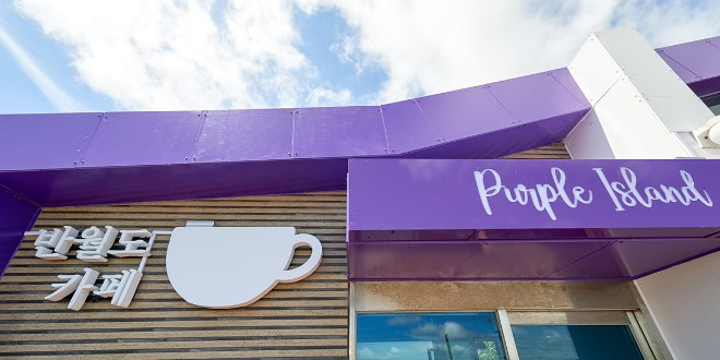 신안 퍼플섬 여행 가이드 - 보랏빛 낭만 속으로!