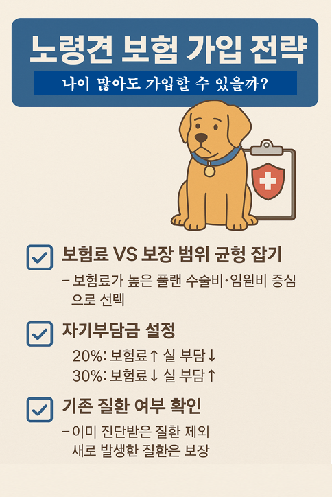 노령견 보험 가입 전략 이미지