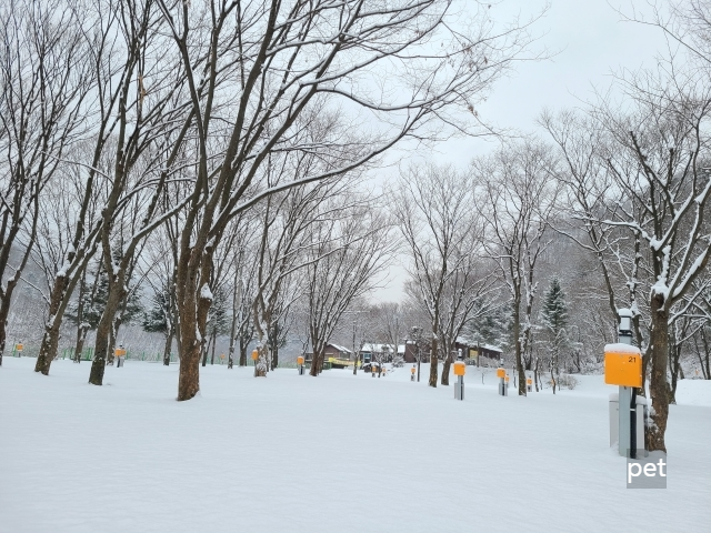 경기-연천-보물나라캠프-예약-방법-애견-동반-가격-주소-시간-후기