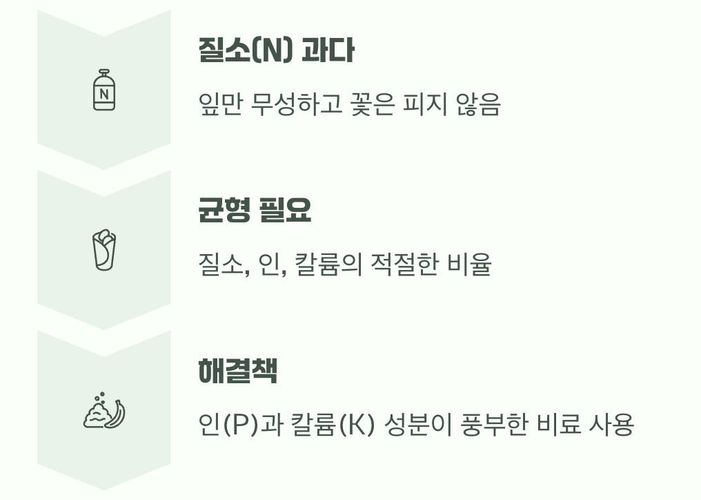 이유 3: 영양분이 너무 과하거나 부족해요