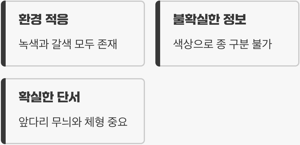 4. 색깔은 믿을 수 없는 정보