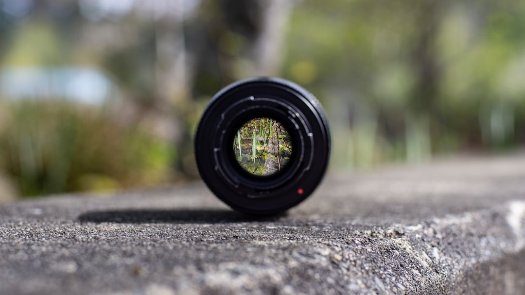 Focus