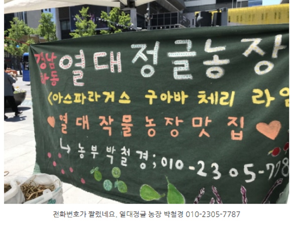 동네한바퀴-하동-열대과일-농장-박철경-주문