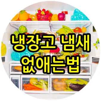 냉장고 냄새 김치통 밀폐와 랩 씌우기 식재료 분리 정리_16