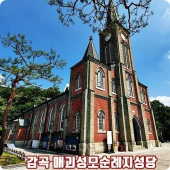 성모님 땅 감곡 매괴 성모 순례지 성당 역사_11