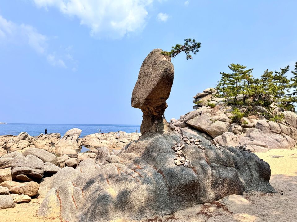 송지호해수욕장