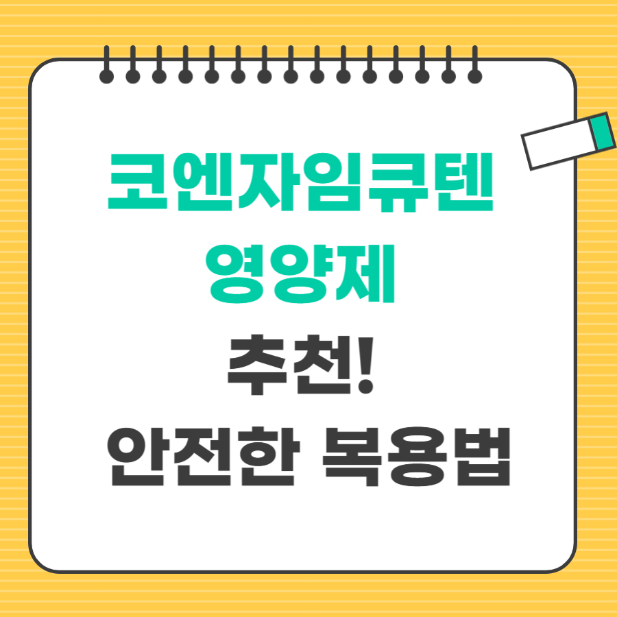 코엔자임큐텐 영양제 추천