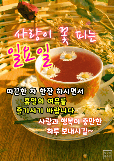 일요일 아침 인사말, 꽃이 띄워진 따뜻한 차 한잔과 사랑이 꽃 피는 휴일 문구가 있는 감성 이미지