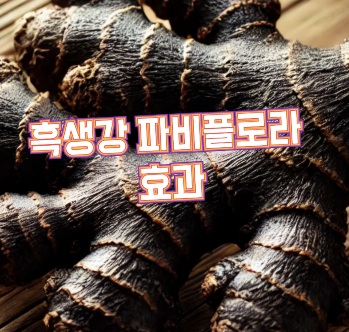 파비플로라-효능-내돈