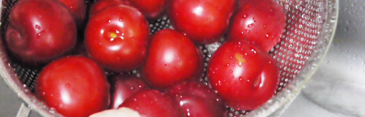 자두청 만들기2