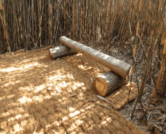 소나무대나무산책길