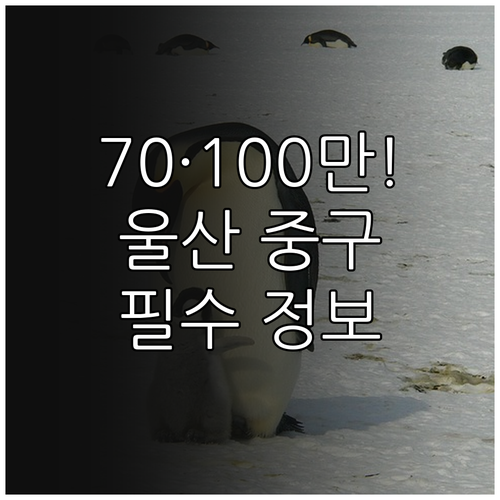 2025 울산 중구 출산지원금: 70..