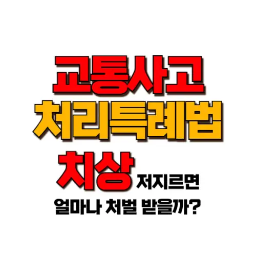 교통사고처리특례법 치상 썸네일