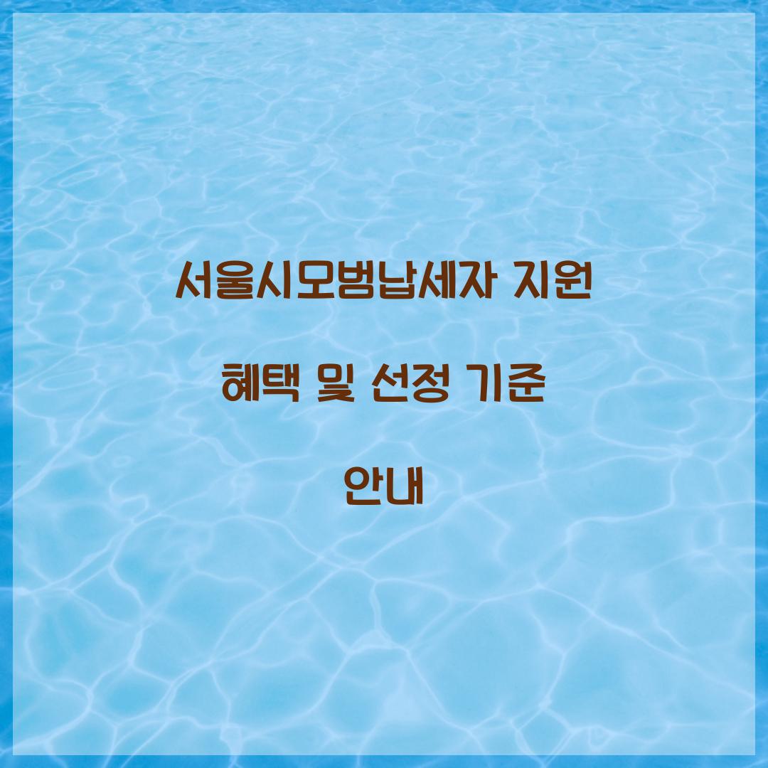 서울시모범납세자