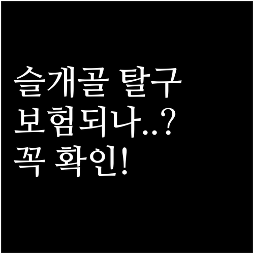 슬개골 탈구 보험 적용 조건과 보장 ..