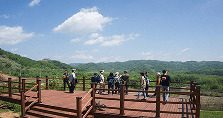 공작새능선전망대