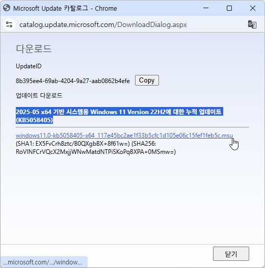 Windows 11 22H2 x64(일반사용자용) 직접링크 제공