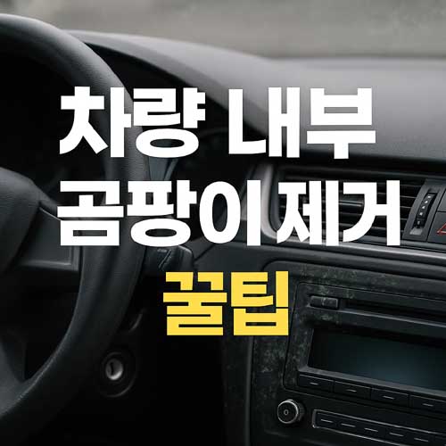 차량 내부 곰팡이 제거 꿀팁
