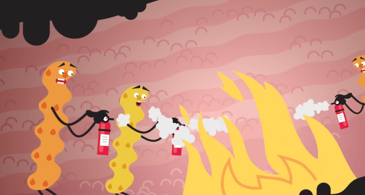 마이크로 바이옴이란