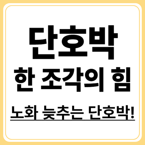 단호박으로 건강한 노화 방지하기! 영양 가득한 채소의 힘