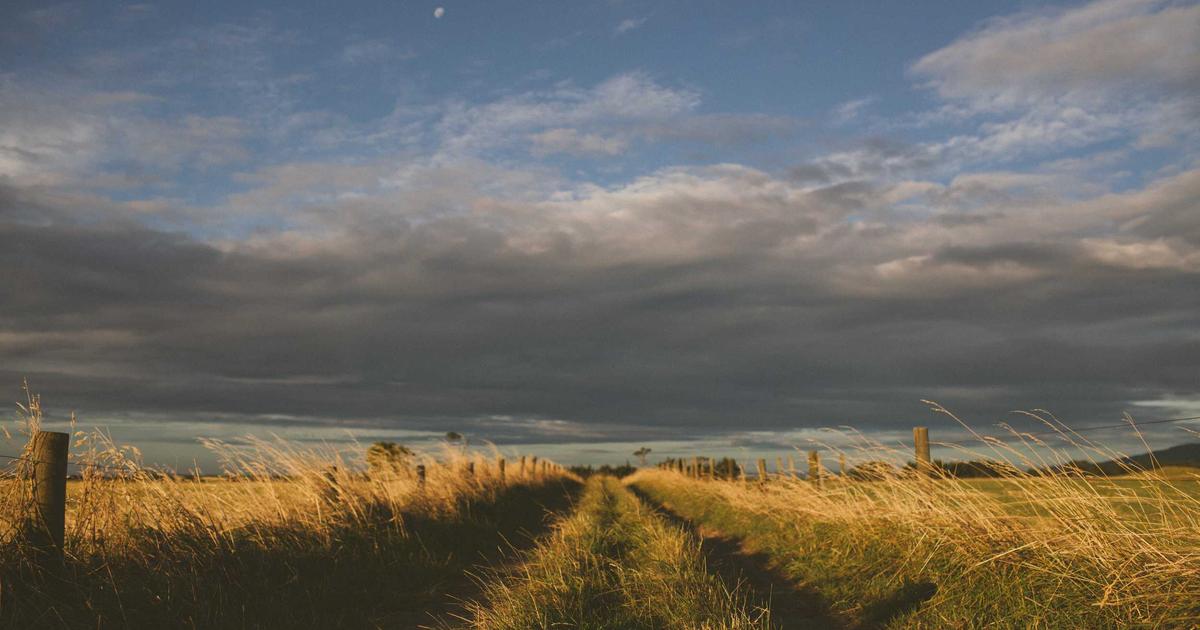 student studying with AI assistant